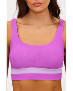 Beach Riot Mackenzine Colorblock Bikini Top - Purple