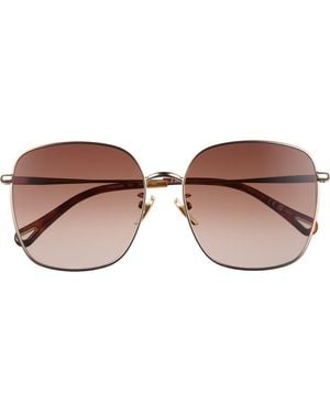 Chloé 58Mm Gradient Square Sunglasses - Brown