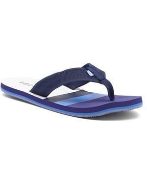 Izod Stripe Flip Flop - Blue