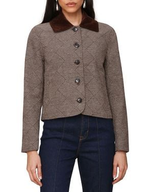Bagatelle Corduroy Collar Crop Jacket - Gray