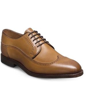 Allen Edmonds Winston Wingtip Derby - Brown
