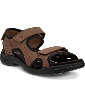 Ecco Hike Sandal - Brown