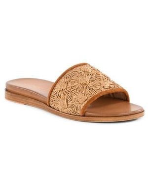 Seychelles Dakota Slide Sandal - Brown