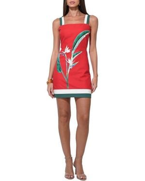 Adelyn Rae Birds Of Paradise Minidress - Red