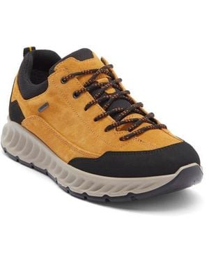 Ara Petro Waterproof Sneaker - Multicolor