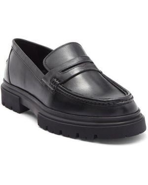 Steve Madden Zante Loafer - Black