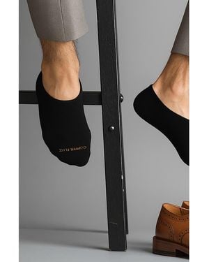 Extreme Fit 3-Pack No-Show Socks - Gray