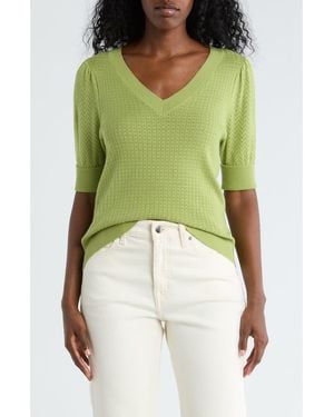 DR2 by Daniel Rainn Pointelle Stitch Sweater - Green