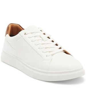 Steve Madden Strouz Low Top Sneaker - White