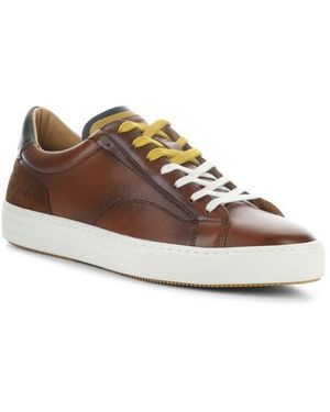 Ambitious 11218 Low Top Sneaker - Brown