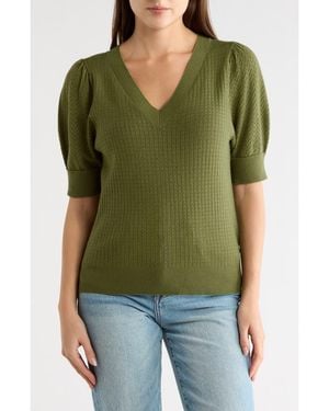 DR2 by Daniel Rainn Pointelle Stitch Sweater - Green