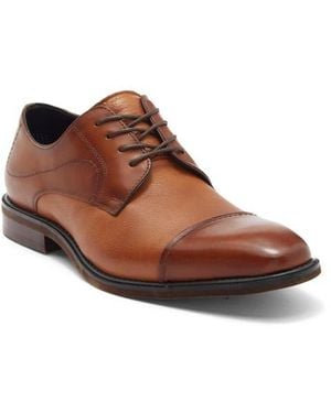 Steve Madden Zane Derby - Brown