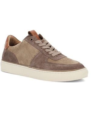 Frye Astor Court Low Top Sneaker - Brown