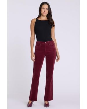 NYDJ Brooklyn Bootcut Pants - Purple