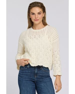 NYDJ Pointelle Popover In Ivory - Brown