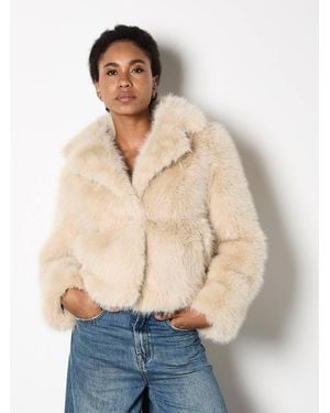 Apricot Faux Fur Short Coat - Blue