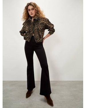 Apricot Lola Flare Jeans - Black