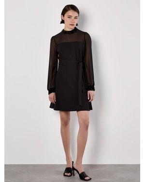 Apricot Sequin Trim Belted Mini Dress - Black