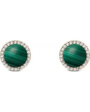 Daniel Wellington Dw00401407 Audrey Pair Of Earrings - Green