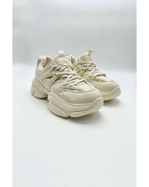 Miss Diva Zola Chunky Lace Up Trainers - Natural