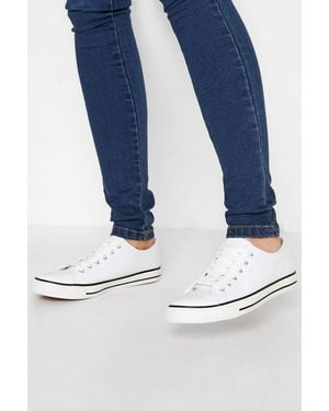 Long Tall Sally Canvas Low Trainers - Blue