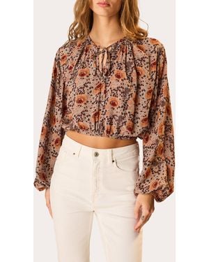 Natalie Martin Amelia Floral Tie-Neck Crop Top Rayon - Brown