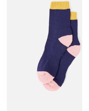 Ivy Ellis Wallace Blue & Pink Ankle Socks