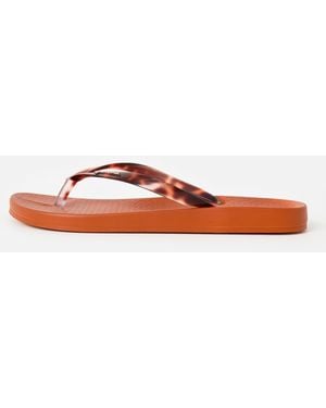 Ipanema Anatomic Connect & Tort Flip Flops, Size 5 - Brown