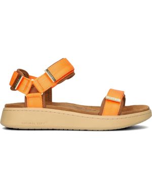 Woden Sandalen Line Damen - Schwarz