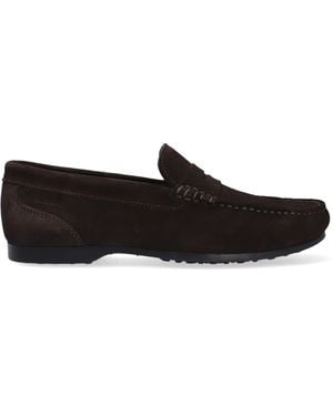 Sebago Schnürschuhe Byron Suede - Schwarz