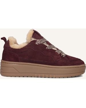 Stefano Lauran Damen Sneaker Anemone-88 - Lila