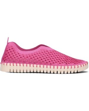 Ilse Jacobsen Slipper Tulip3275 - Mehrfarbig