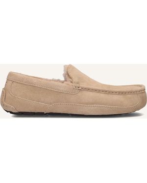 UGG Herren Hausschuhe Ascot - Schwarz