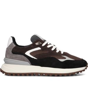 Floris Van Bommel Sneaker Low Sfm-10159 Herren - Schwarz