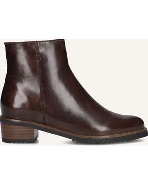 Everybody Damen Stiefeletten Belport - Braun