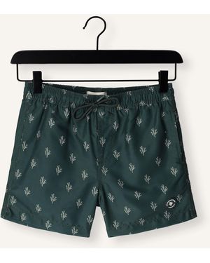 Shiwi Jungen Bademode Milo Swimshort - Grün