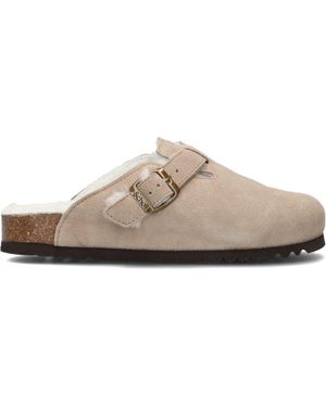 Scholl Slipper Fae Damen - Schwarz