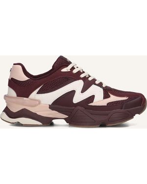 Steve Madden Damen Sneaker Speeder - Schwarz