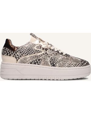 Haboob Damen Sneaker Filou - Schwarz