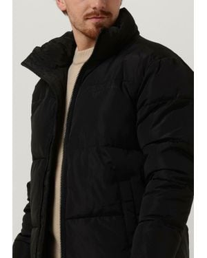 Colourful Rebel Wattierte Jack Finch Puffer Jacket - Schwarz