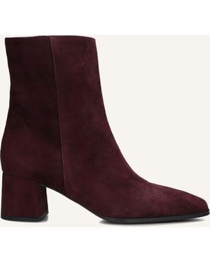 Notre-v Damen Stiefeletten 4340 - Lila