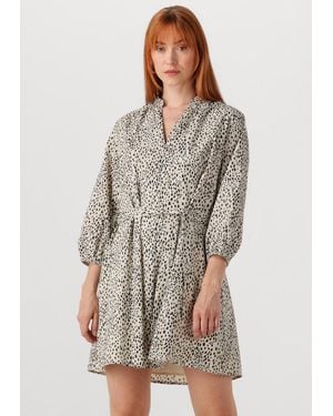 Colourful Rebel Damen Kleider Lize Cheetah Shirt Mini Dress Ss - Braun