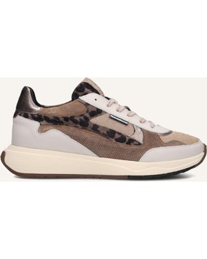 Floris Van Bommel Damen Sneaker Sfw-10159 Suvi - Schwarz
