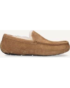 UGG Herren Hausschuhe Ascot - Schwarz