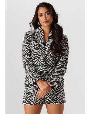 Colourful Rebel Damen Blazers Dente Zebra Jacquard Blazer - Grau