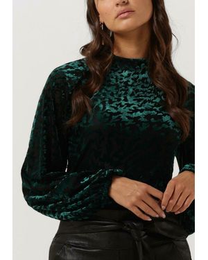 Freebird by Steven Callie Top Damen - Grau