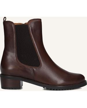 Everybody Damen Stiefeletten Bertilla - Braun