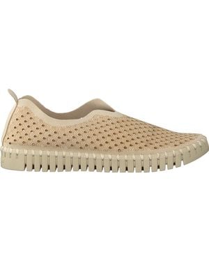 Ilse Jacobsen Slipper Tulip3275 - Schwarz