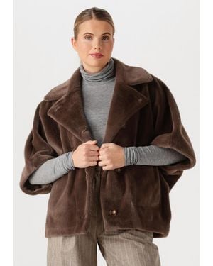 STUDIO AR Damen Jacken Avy Faux Lacon - Braun