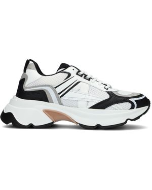 Nubikk Sneaker Low Ross Nomad Herren - Schwarz